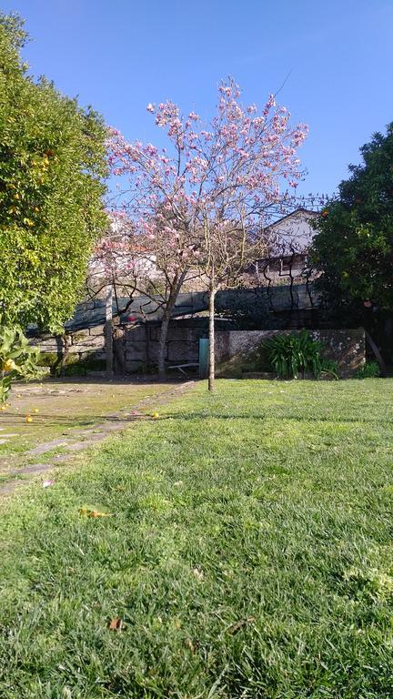 Casa Das Vendas Luaran gambar